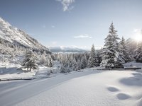 Deine Ferienwohnung in Neustift ✓ Verschneite Tannen und Berge bei Sonnenlicht unter klarem Himmel